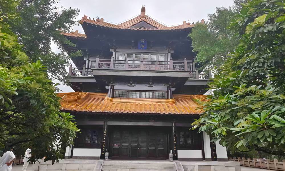 Ļвϳ򡱡ЇVIWЇ`FS_չĻ