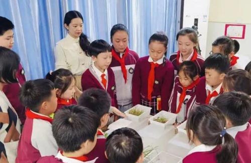 Ќ(sh)(yn)СW(xu)u(png)СW(xu)(hu)(sh)`(dng)M(jn)λ