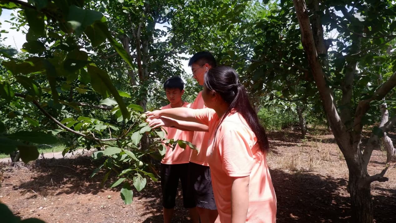 ɽ|WâЄӡ`FסlP_d¾