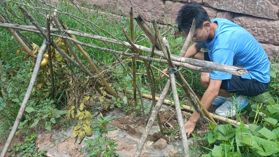 ՌWӷl(xing)Ml(xing)򡰑r