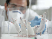 2019BֳIô_Wʲô_ǰÆ