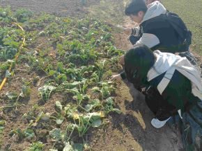 l(xing)֮иϿhԪa(chn)I(y)ںϰl(f)չ