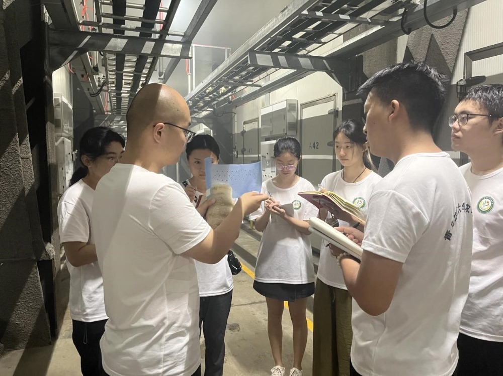 ur(nng)W(xu)ӡl(xing)(sh){(dio)еɽ|ѩſƼ޹˾