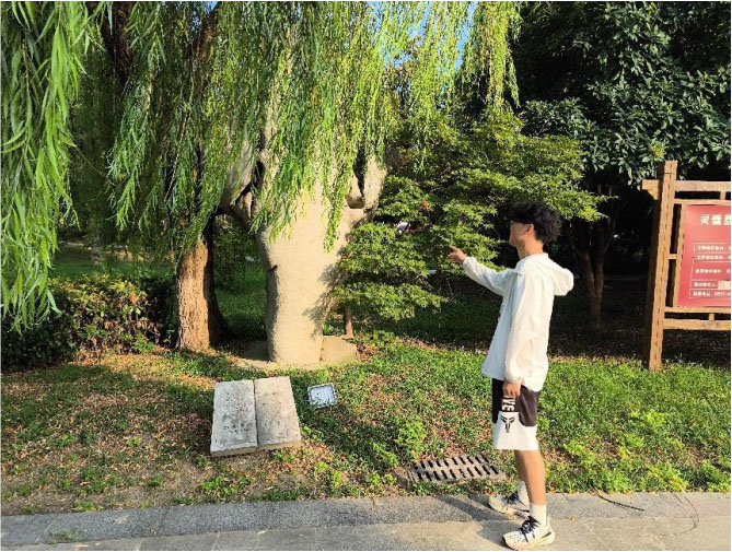 lŌW̽`ʯĻĻ֮cl匍`