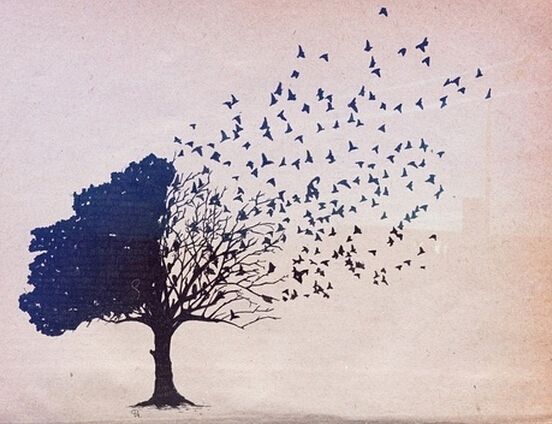 ey֮rӛסǧfҪҞĘ侮ʯ