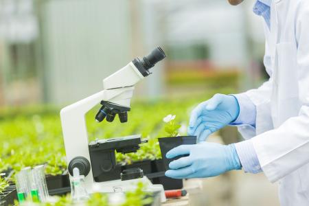 2019tW＼gIô_Wʲô_ǰÆ