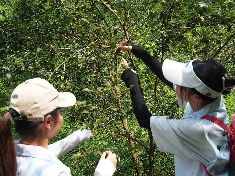 V|Wl`oഺldֱ؛raƷN