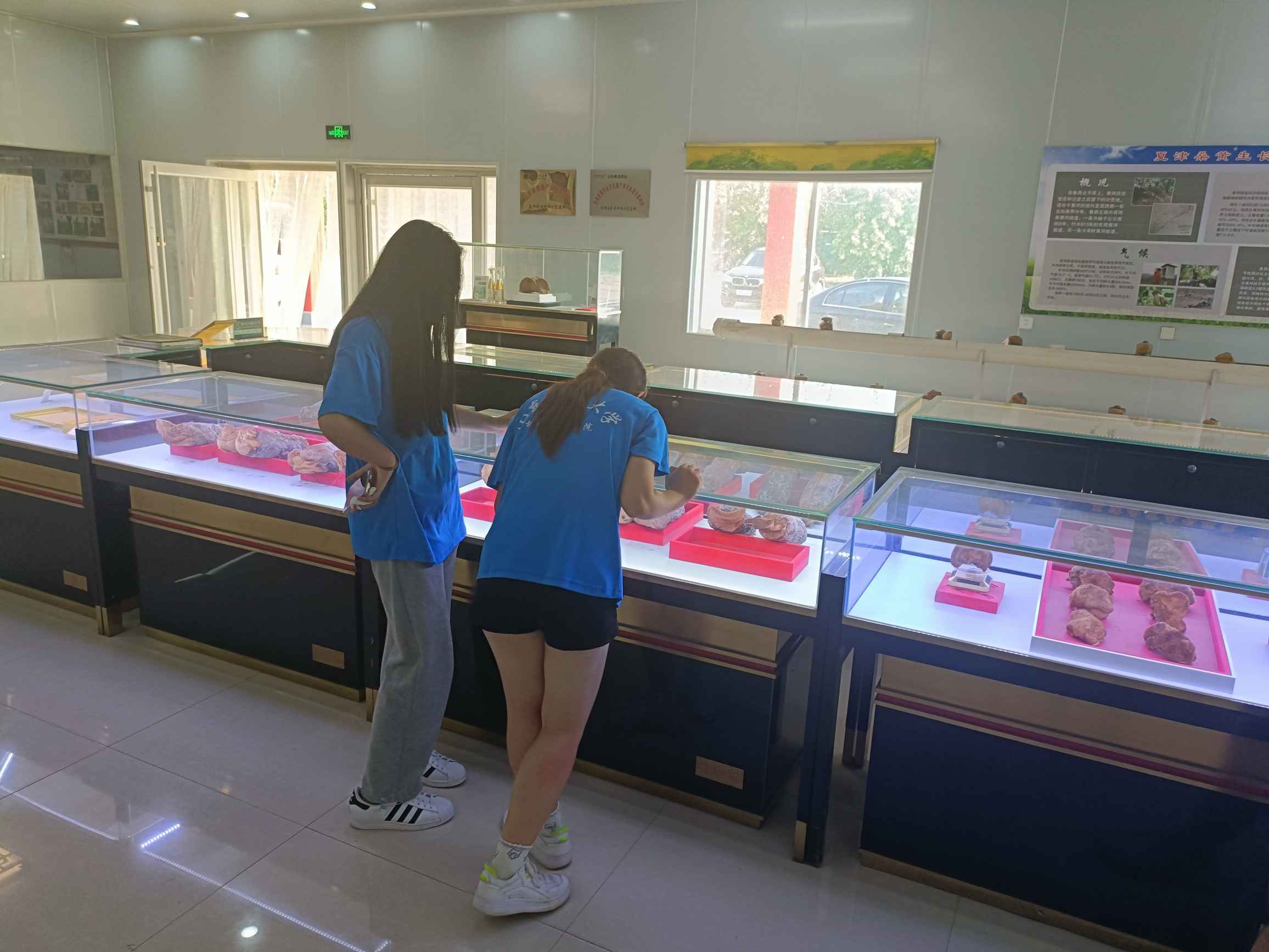 c驡ͬЌ`FǰɣSB@ɣSL^̡ˎÃrֵ˹Bֳаlv