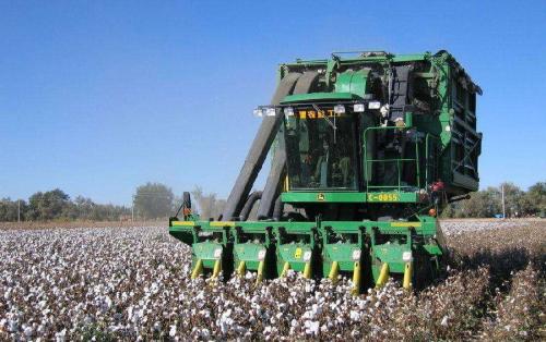 2019rICеügIô_Wʲô_ǰÆ