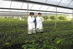 2019a(chn)gI(y)ô_Wʲô_ǰÆ