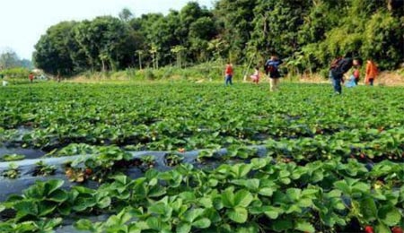 h90ŮWoIFfԪ