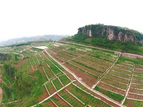 2019ˮ֌I(y)ô_Wʲô_ǰÆ