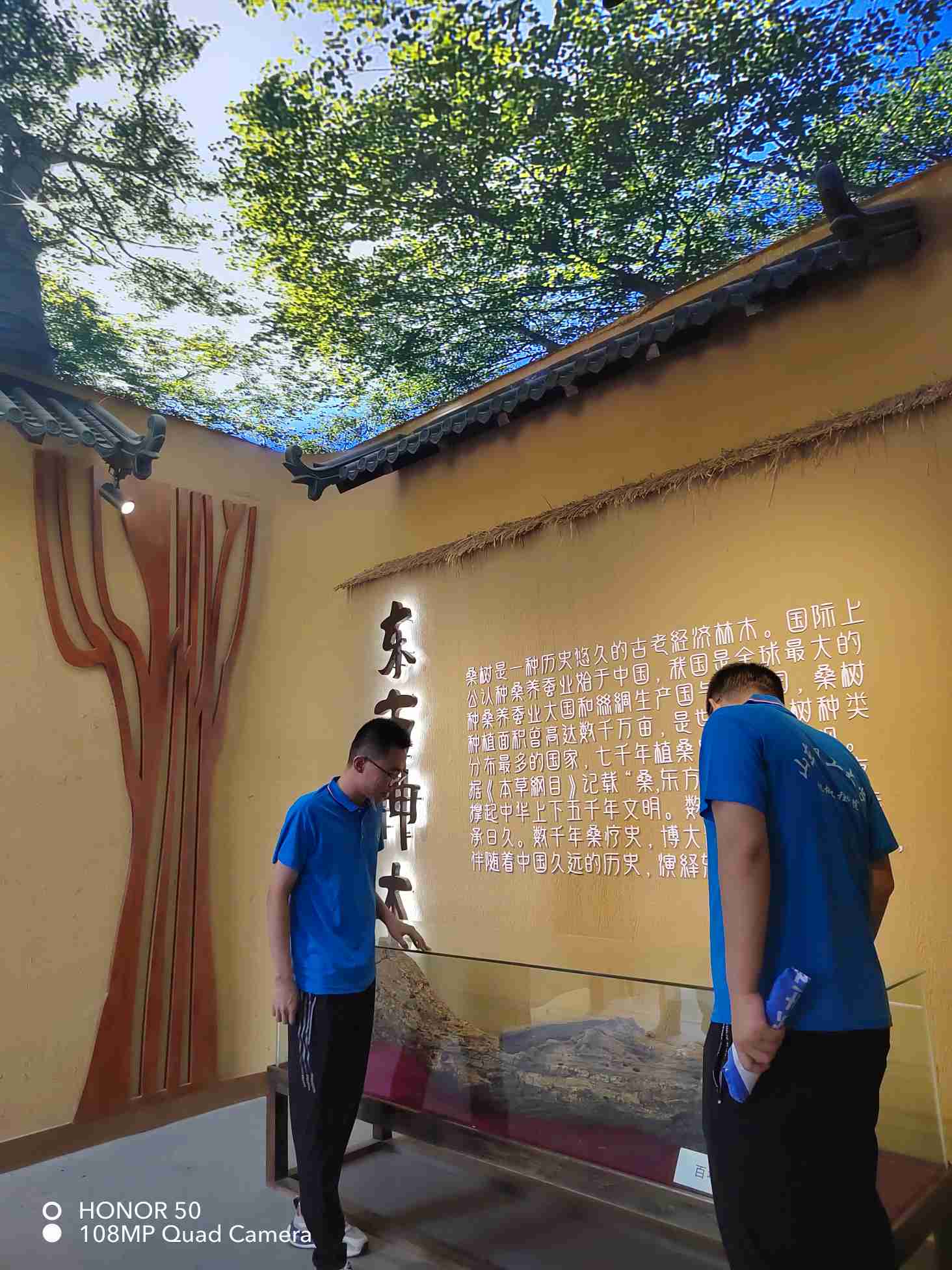 LɣĻɡc驡ͬУlaI{С`FĽhɣr