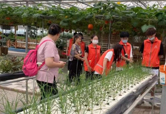 չI(y)W(xu)늚W(xu)l(xing)˽l(xing)ڡڌ(sh)`ӿY(ji)