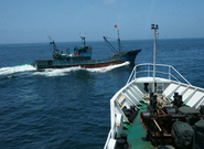 2019󲶓ƼgIô_Wʲô_ǰÆ