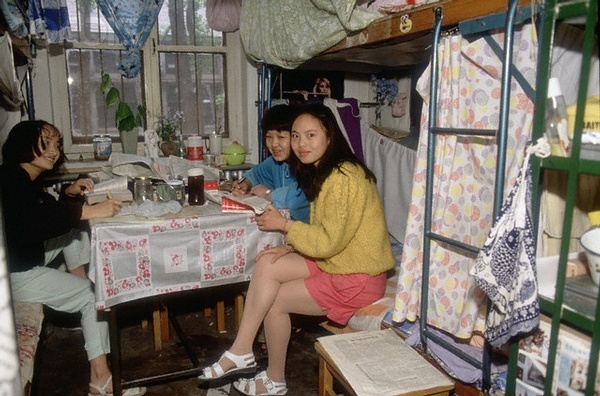 ĴW(xu)r(sh)Df(shu)80ıW(xu)