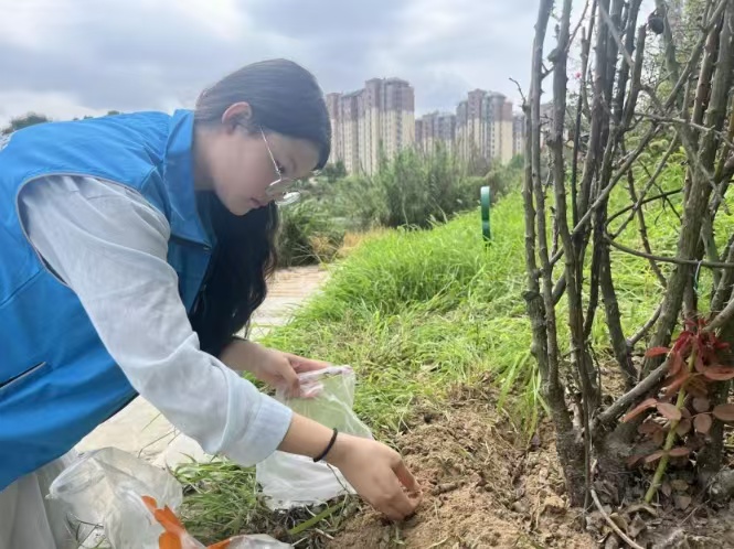 ώW(xu)ƌW(xu)W(xu)ԺСɭСG֮tI(lng)B(ti)G`{(dio)ЈF_չϵ