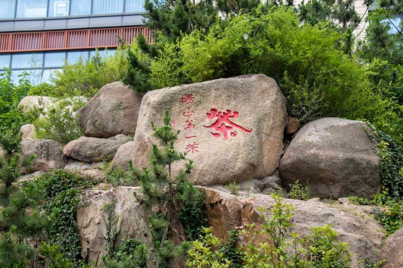 ĵ̼ҕǳl(f)̽ӑl(xing)GɫD(zhun)֮·-h(yun)(sh)`(du)ĵw(hu)