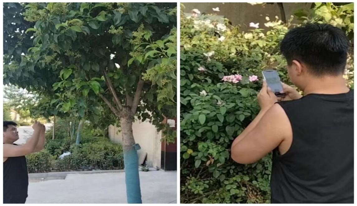 Ї̽Gӛ|վڼlĽֵGĄˮ̽G`F_չl֮ɽ|ʡ̩Ж|ƽh