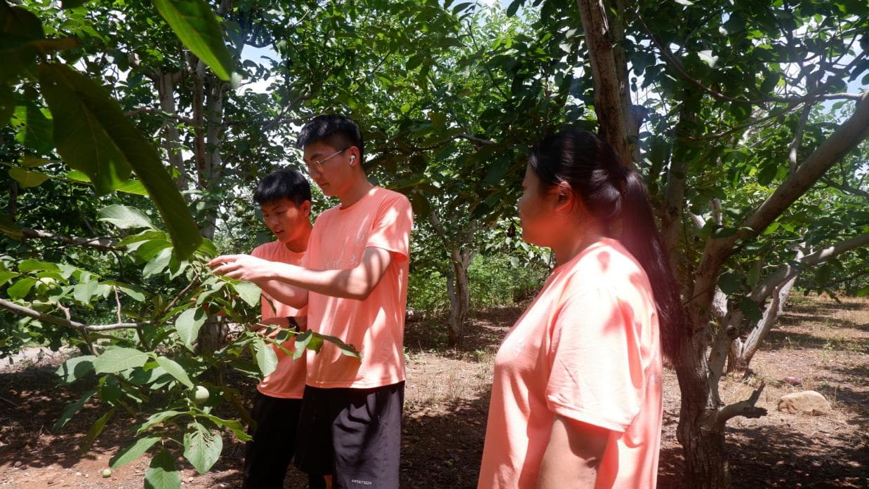 ɽ|WâЄӡ`F:˽rMNֲ