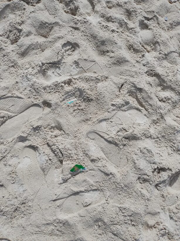 |WCcϢ̌WԺɳʰz{ЈF{