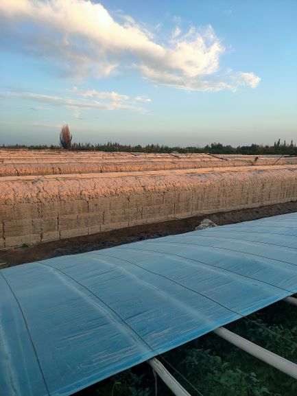 ɽ|W(xu)Ӹ˖|MЏ(f)(f)a(chn){(dio)Ќ`