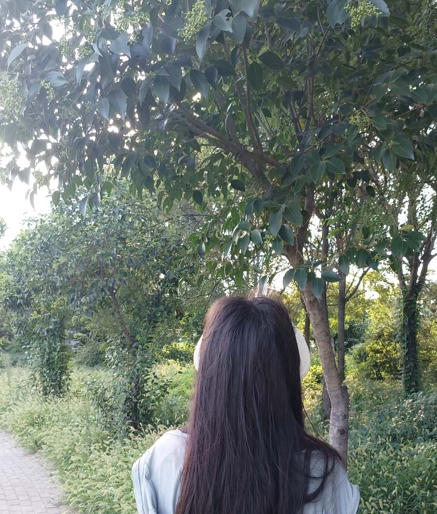 Ї̽Gӛ|վڼlĽֵԣGĄˮ̽G`F_չl֮ɽ|ʡɽh