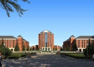 t(y)ƴW(xu)ʝ(j)W(xu)Ժǎױ