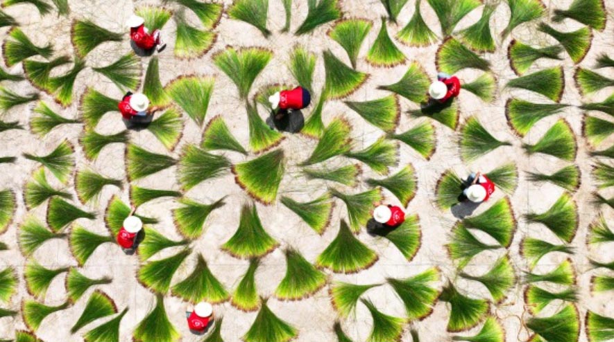 W(xu)ڡl(xing)ڄ(dng)r(nng)