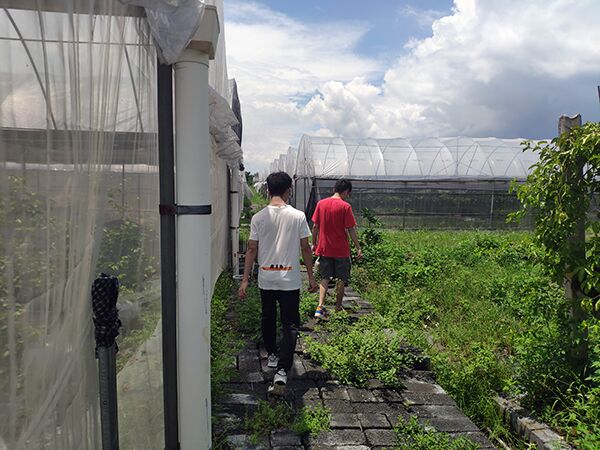 ʯW(xu)ӸV̽r(nng)I(y)ؚa(chn)I(y)l(f)չ