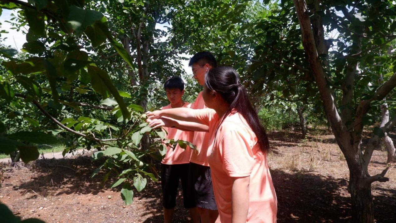 ɽ|Wꖻ_`FLlaI{llչ