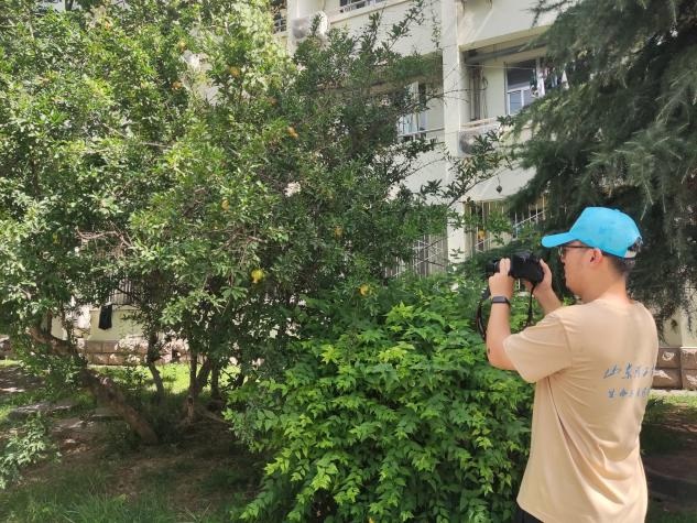 ̽GǰҊ(jin)ɾͣԾG崺L(fng) ɽ|W(xu)̽G(sh)`F(tun)(hu)(sh)`С