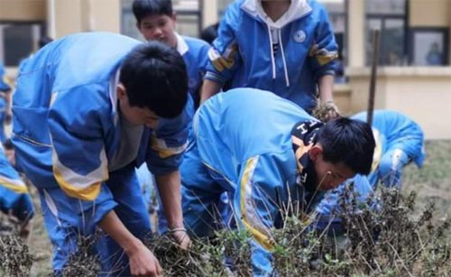 PˮʮЌW(xu)M(jn)|(zh) M(jn)W(xu)ȫl(f)չ