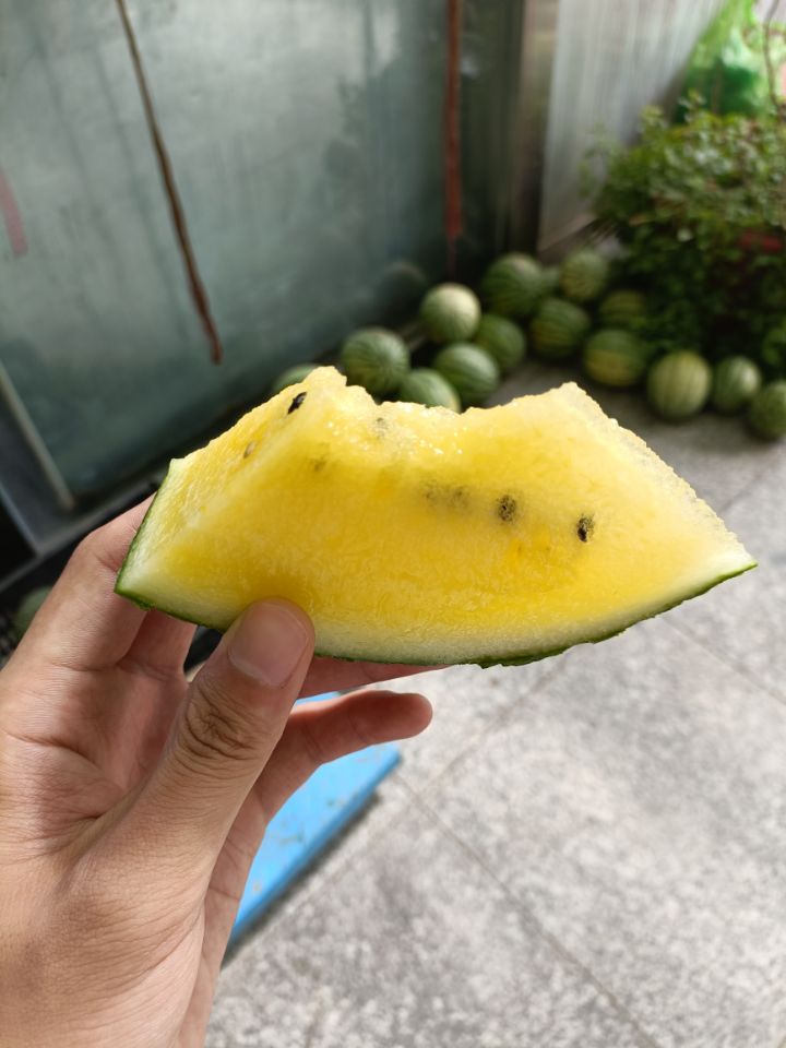 (ni)ɹŷɳɳ(sh)`(du)M(jn)ؐ댍(sh){(dio)