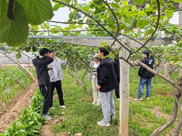 @ʹJҷNֲyr(nng)LSծ