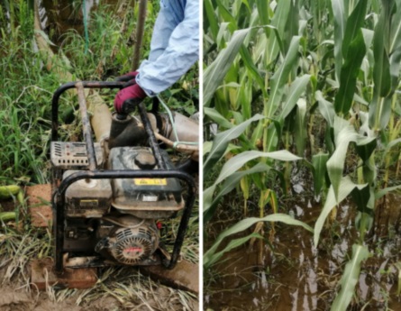 ־`Fꠉ۹M  еl(xing)`