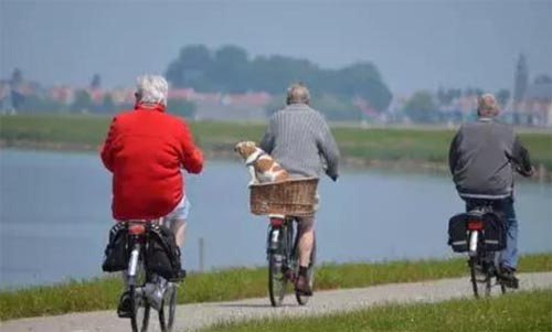 ˼ѝЈ󱬰lك|ЈҎģC