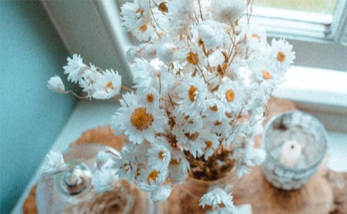 FfԪͶYʲôãfԪͶYĿ]