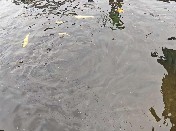 ɽ|Wwδ{ЈFͲвɽ^sAˮaBֳ_չ{