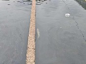 ɽ|Wwδ{ЈFͲвɽȪغV~Bֳ_չ{