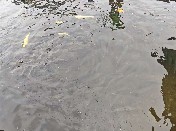 ɽ|Wwδ{ЈF ͲвɽȪV~I_չ{